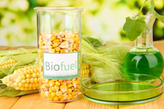 Coedpoeth biofuel availability