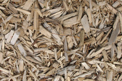 biomass boilers Coedpoeth